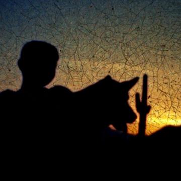 Visuel - Journal d'Amérique - Silhouette